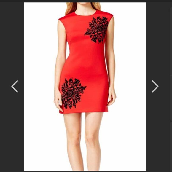 Calvin Klein Dresses & Skirts - Calvin Klein sleeveless sheath dress with flowers velvet applique flowers (174)